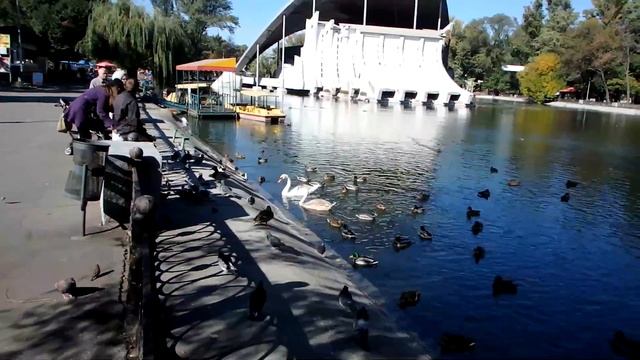 Парки Днепропетровска Детский парк Children's Park in Dnepropetrovsk смотреть онлайн