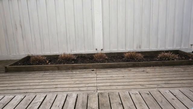 Doona + смотреть онлайн