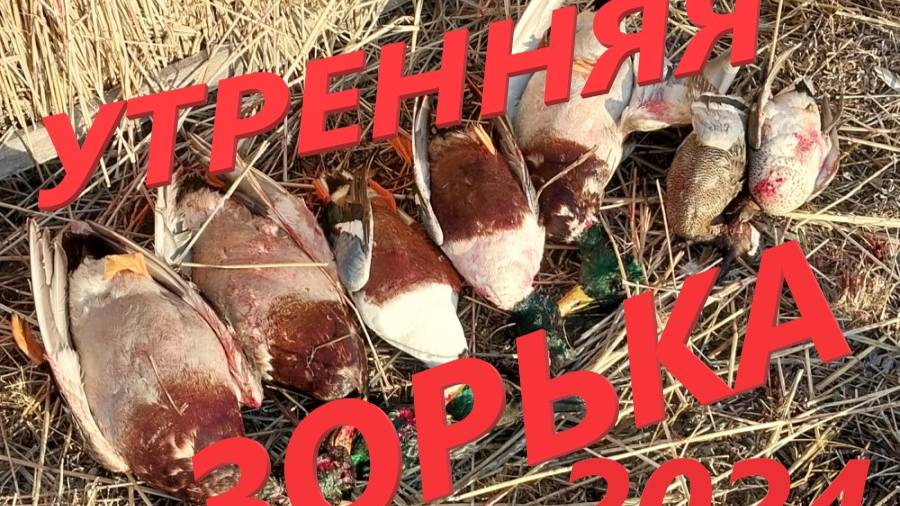 УТРЕННЯЯ ЗОРЬКА С ШИКАРНЫМИ НАЛЕТАМИ 2024 смотреть онлайн