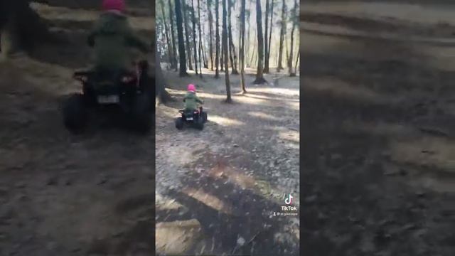 Детский ЭлектроКвадроцикл Kreiss смотреть онлайн