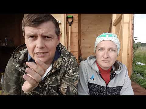 Сбор урожая смотреть онлайн
