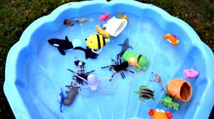 Wild Sea Animals Toys Baby Mom Learn Animals Names Education Toys for Kids