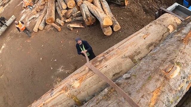 Loading Logs into Truck with Working Machine / Woodsman Vlog ? смотреть онлайн