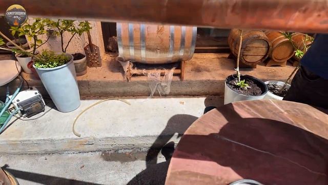 Южный абрикосовый ром Подробный рецепт