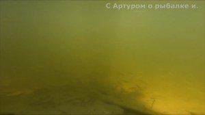 Рыбалка на Бутылке  Карпы, караси и ещё