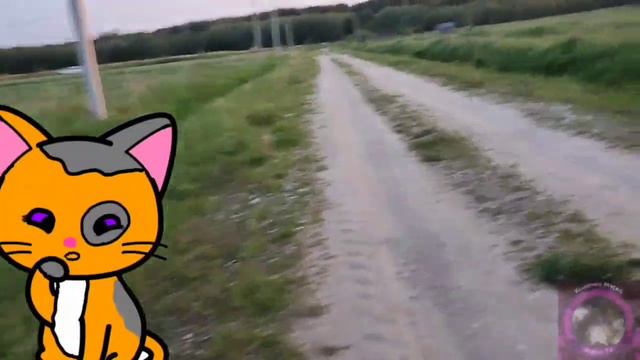 Мурка пропала...Что делать если потерялась кошка. смотреть онлайн