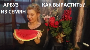 Арбуз от А до Я в природном земледелии.