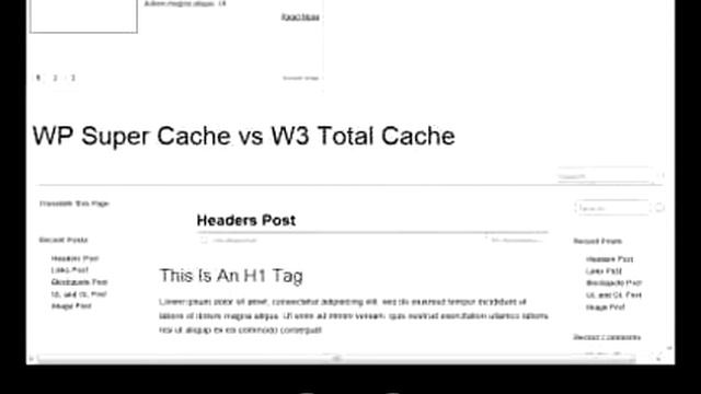 WP Super Cache vs W3 Total Cache - Loaded with W3 No Minify - 8/8 смотреть онлайн