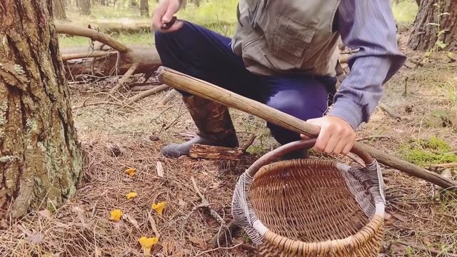 С ДЕДОМ ПО ГРИБЫ смотреть онлайн