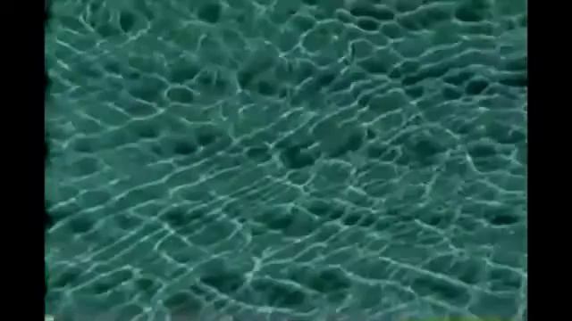 Spongebob Background Title Card And Font смотреть онлайн