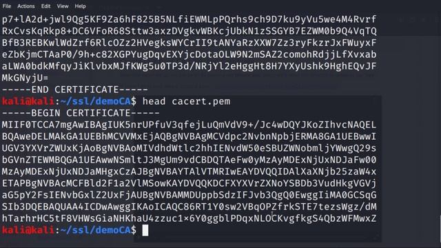Implementing a Custom Public Key Infrastructure (PKI) смотреть онлайн