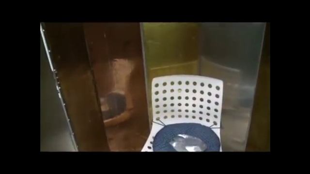 2 Все о торсионном поле Структура,взаимодействие, применение Введение смотреть онлайн