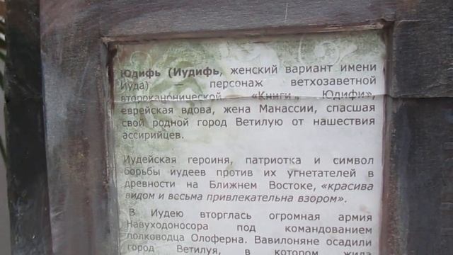 Ростов-на-Дону. Публичная библиотека. Уютный зелёный уголок. Показываю интересные экспонаты. Картин смотреть онлайн