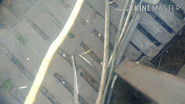 Не выкидывает старые доски мастерская 4 смотреть онлайн
