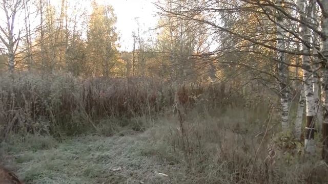 Вот, куда надо было ехать...#403 смотреть онлайн