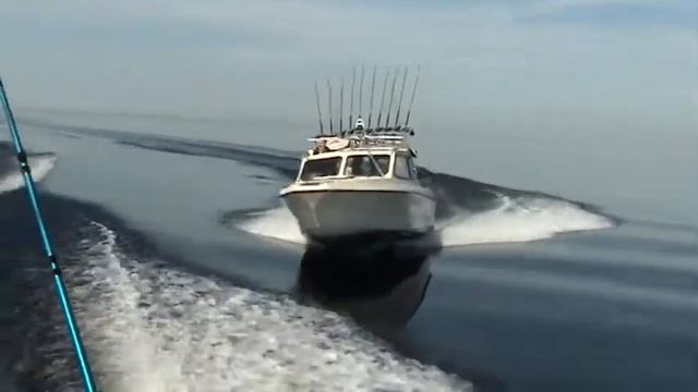 M2U00378.MPG смотреть онлайн