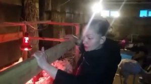 Автопоилки для бройлеров. Сборка. Монтаж/ жизнь в деревне