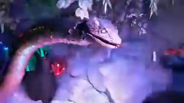 Новосибирский аквапарк Аквамир динозавры смотреть онлайн