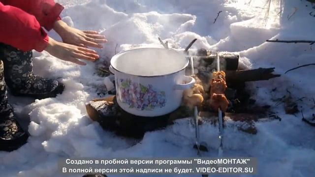 Шашлык на природе. Чай на костре. Пробуем калину. Рассуждаем с детьми о веганстве