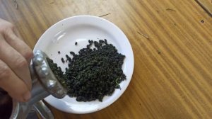 Ферментированный лист одуванчика без горчинки