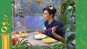 АЗН. Биология. Джунгарики. Мини-арбузы. Карликовые породы