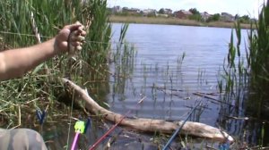 Ловля майского карася на снасть, резинка ( закидушка ) и соска ( крышечка ).