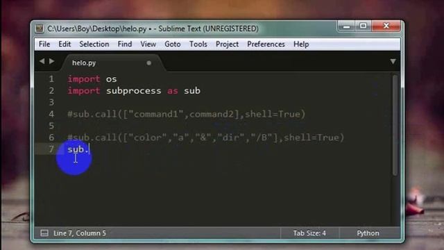 Python with command shell (cmd) смотреть онлайн