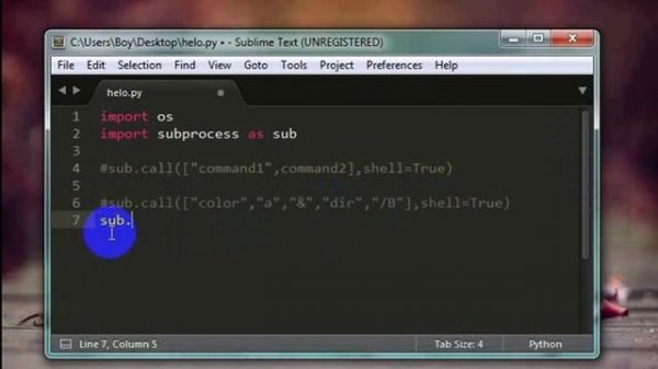 Python with command shell (cmd)