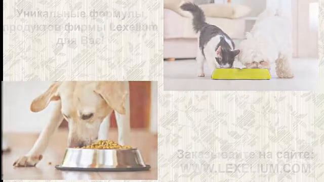 реклама Lexelium