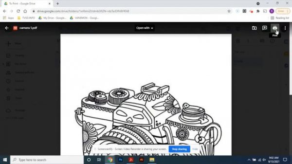 Adobe Acrobat Pro DC Printing from on Windows Thinkpad