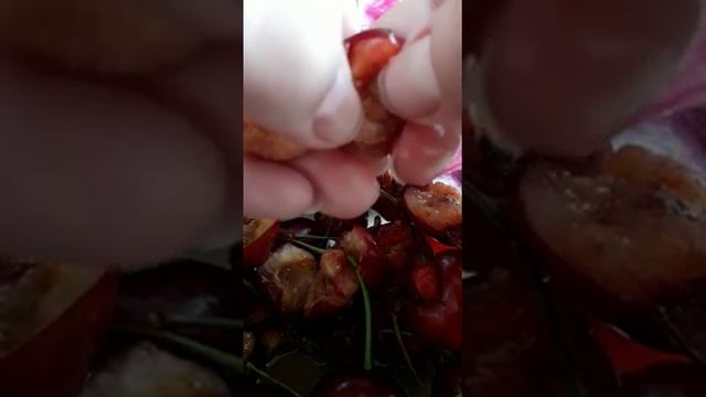 Внимание! Червивая черешня! Чаны. 27 мая 2019 смотреть онлайн