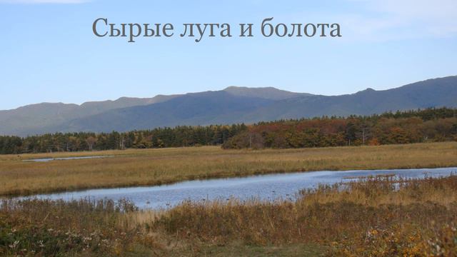 Жемчужина у моря