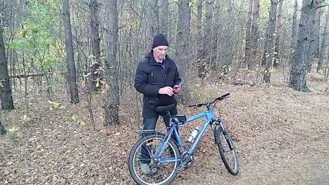 Гуляем в солнечном лесу с отцом на велосипедах смотреть онлайн