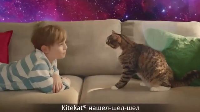 Секрет энергии – Kitekat® (feat. Кот Борис) 10 ЧАСОВ! смотреть онлайн