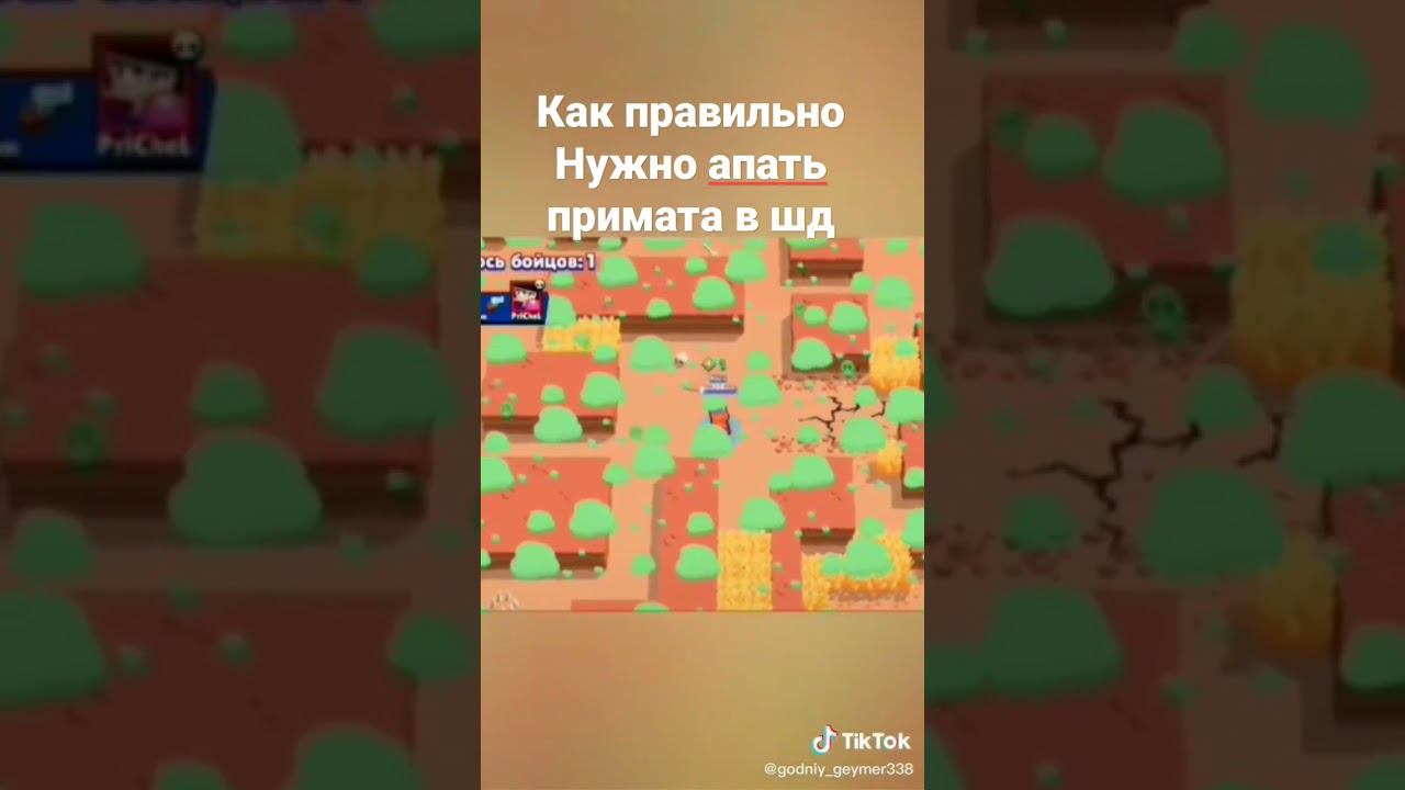 Как апнуть примата в одиночном шд смотреть онлайн