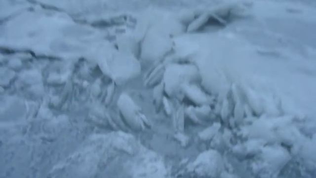 Как вымотать активную собаку? Лёд на реке, хоккей и другие прелести жизни смотреть онлайн