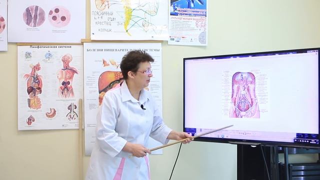 Желудочно-кишечный тракт и его участие в жизнидеятельности человека. смотреть онлайн