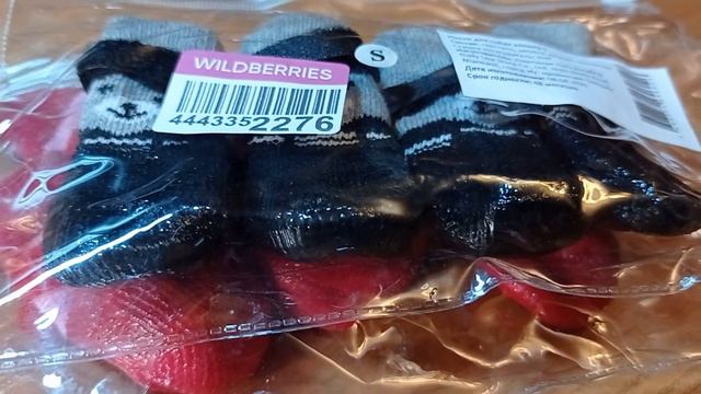 ОБУВЬ для йорка. Первая примерка.  Кто нам подарил сапожки для Бэби?