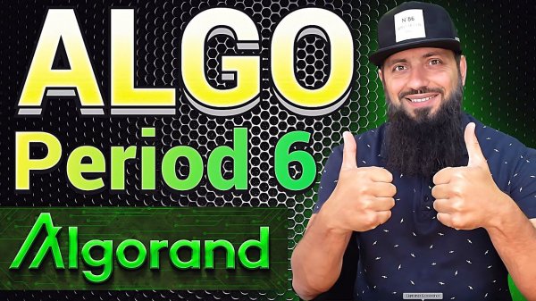 СРОЧНО СТЕЙКИНГ ALGO Governance period 6 \ ALGORAND { ALGO } ОБЗОР ИЗ МОЕГО КРИПТО ПОРТЕЛЯ