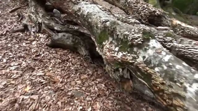 Автопробег Тула-Крым. 24. 07. 2014. Капсель. Водопад. День 7. смотреть онлайн