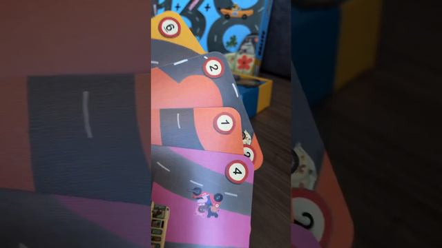 Como Jogar Rallye Djeco