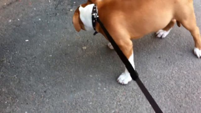 Первый раз на улице смотреть онлайн