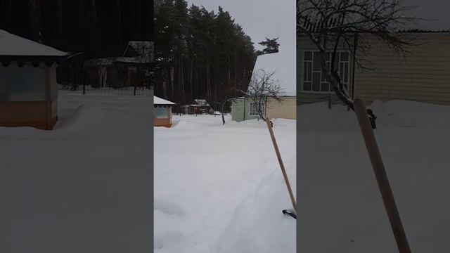 Моя дача смотреть онлайн