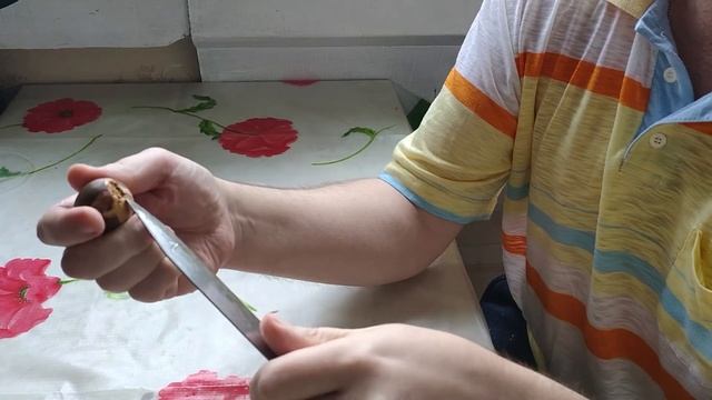 #Сидимдома Выращиваем Авокадо (We sit at home Growing Avocados) смотреть онлайн