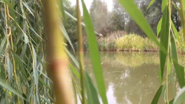 С Пятницей! Хорошего Вам Настроения!👋😂👍