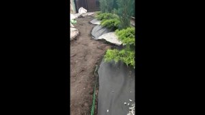 Оформление клумбы мраморной крошкой