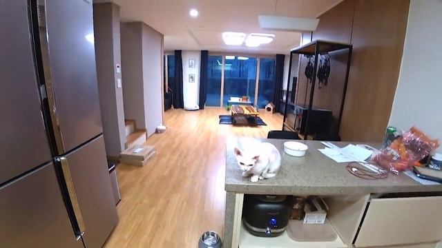 Открываем ваши посылки и варим суп из проростков;) KOREA VLOG смотреть онлайн