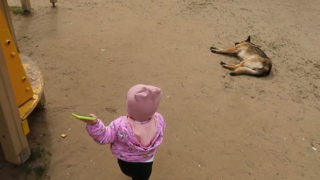 РАЗБУДИЛ ЗВОНОК ИЗ ПОЛИЦИИ! ДЕНЬ С ДОЧКОЙ! ГОТОВИМ ПАСТУ смотреть онлайн