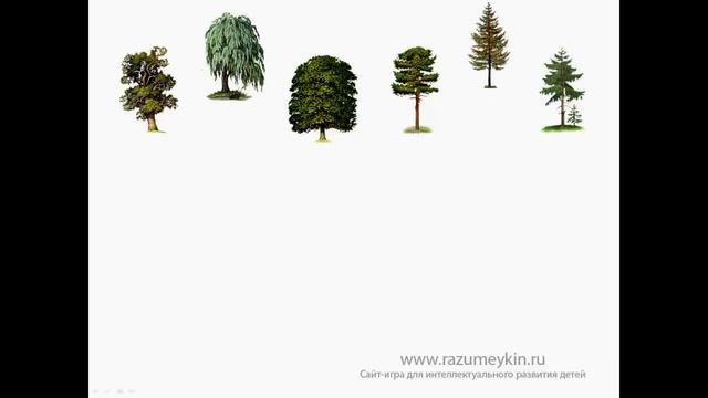 Деревья лиственные и хвойные. Сайт - игра Разумейкин смотреть онлайн