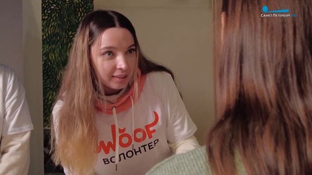 Питомец из приюта. Что важно знать будущему хозяину? смотреть онлайн